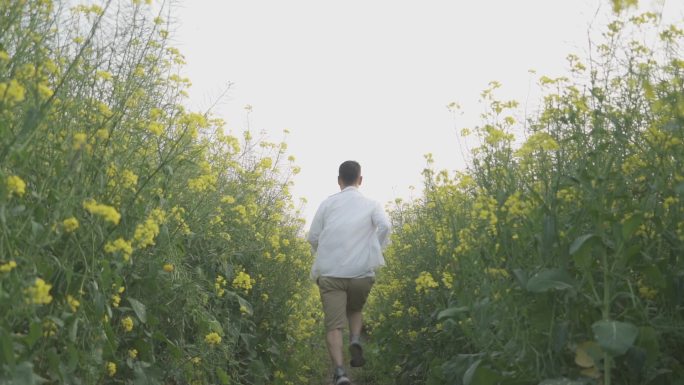 白衬衫男人田间奔跑背影追逐梦想亲近自然