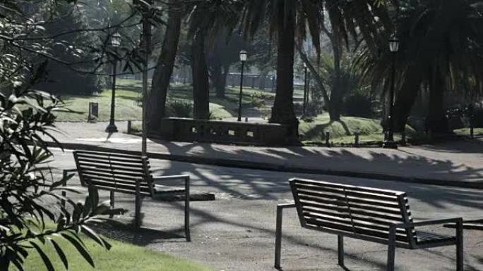 早上在绿色公园长椅。