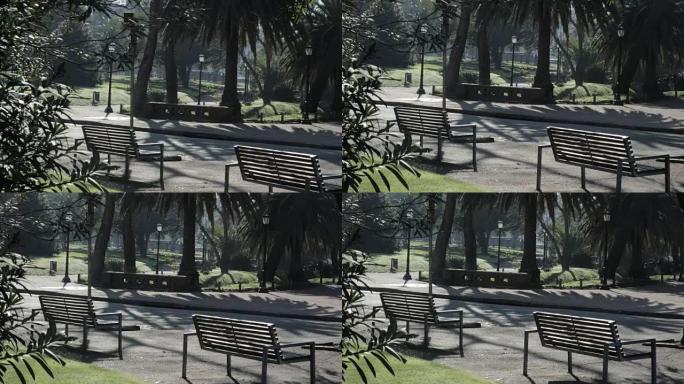 早上在绿色公园长椅。