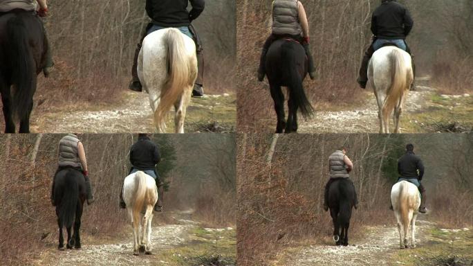 高清: 自然中的骑马