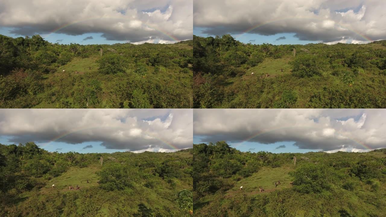 在巴西的一片森林中，一大群野外工作人员的空中无人机拍摄