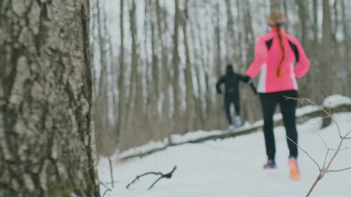 在阳光明媚的冬日早晨，积极美丽的年轻健康夫妇穿着运动服穿过森林。跳过树，克服路径的困难。跨过障碍物