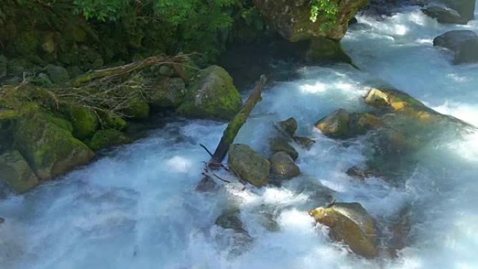 森林中的布鲁克溪水流淌