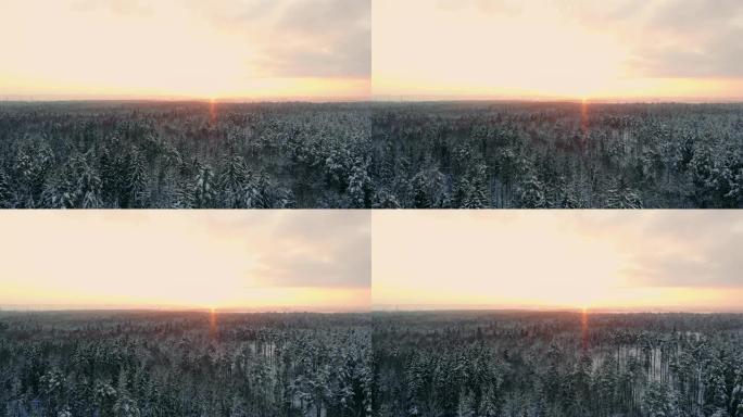 汽车在白雪覆盖的森林中经路行驶。镜头。早晨的阳光。鸟瞰图。鸟瞰白雪皑皑的森林，高松高松，冬天有车的道