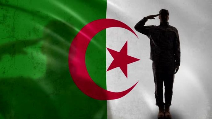阿尔及利亚士兵侧影向国旗和军队敬礼