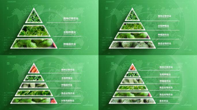 金字塔农业科技图文分类AE模板