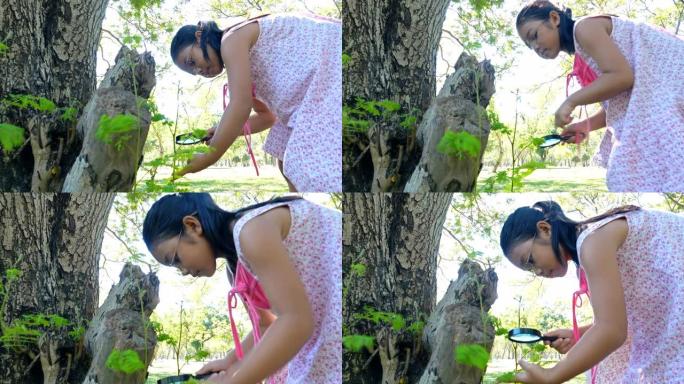 亚洲女孩在公园里看到带有放大镜的昆虫