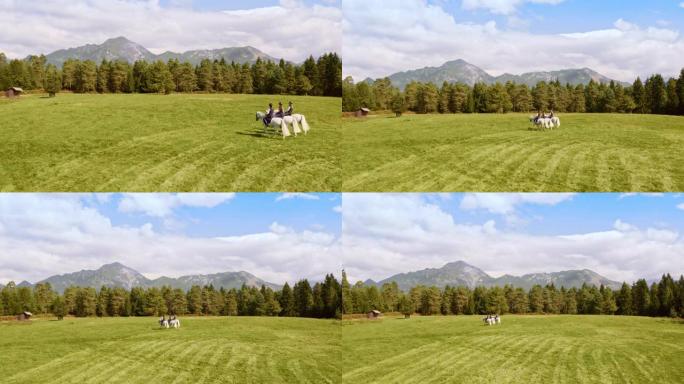 空中三人骑着白马穿越草地
