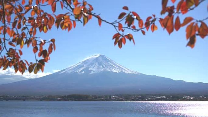 河口湖的红叶富士