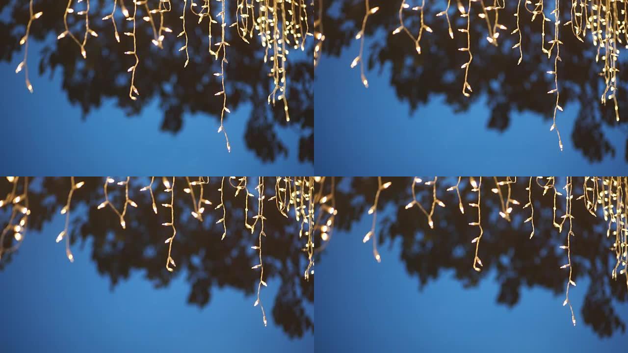 挂在树上的装饰串灯。抽象模糊的背景。