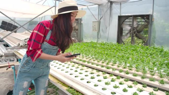 4k慢动作年轻女农夫正在安排在苗圃订购蔬菜保鲜。