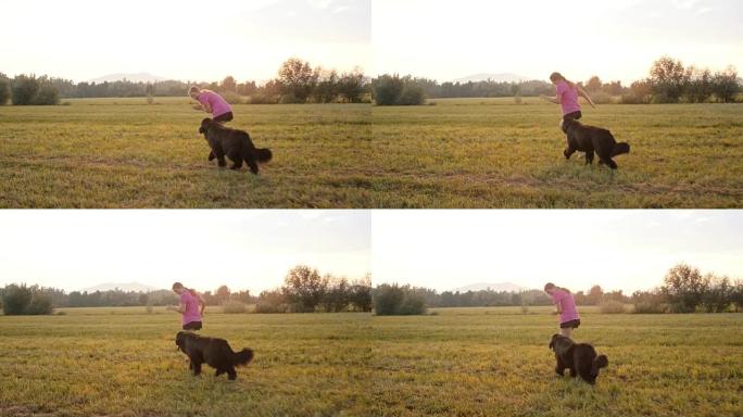 日落时分，SLO MO女人和她的狗在草地上奔跑