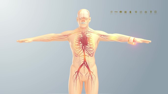 激光治疗仪 血液 血管 细胞 生物科研