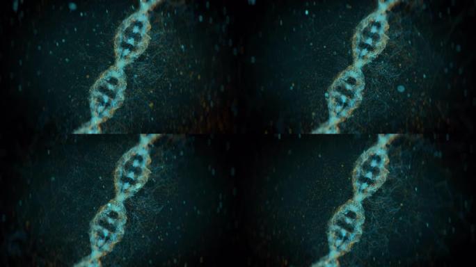 DNA串在屏幕上旋转，DNA测试，遗传研究，疾病，突变