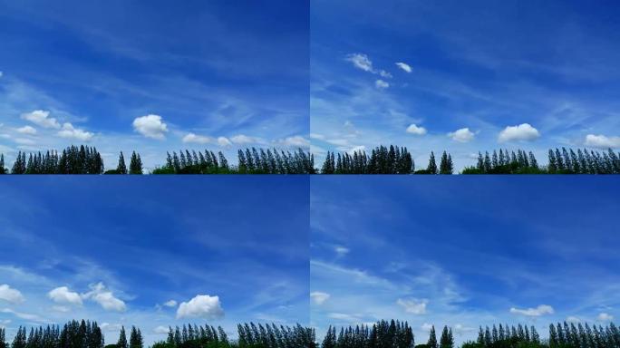 夏天云在移动，美丽的云天在树上移动，延时4k视频