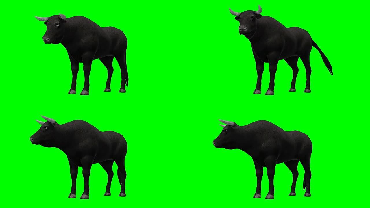 公牛闲置绿屏 (可循环)