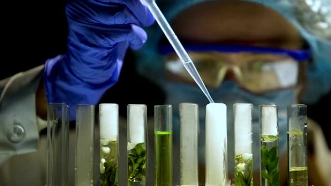 生物化学家添加剂与绿色植物美容产品的研究