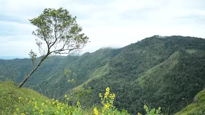 雾在泰国Phu Thap Book的高地上流动