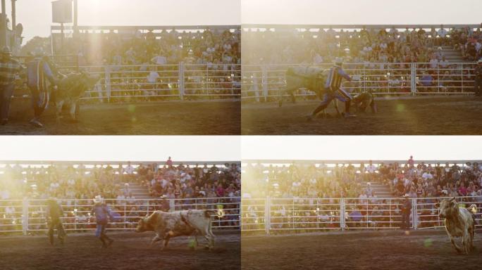 一名Bul骑手参加公牛比赛的慢动作镜头，然后从公牛的背上抛出，而牛仔竞技小丑在日落时在一个挤满人的体
