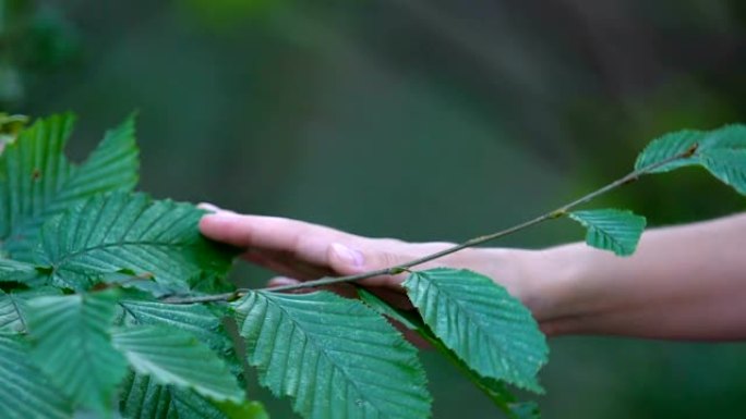 人类向自然伸出援助之手，保护森林免受污染，生态