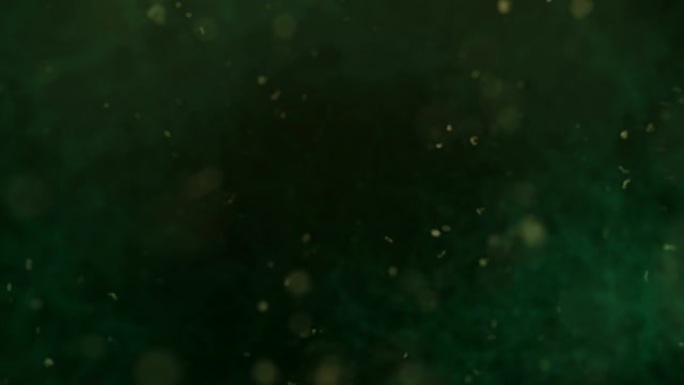 漂浮在绿色水中的浮游生物 (颗粒)