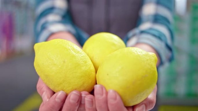 一个拿着三个大柠檬的女人的手