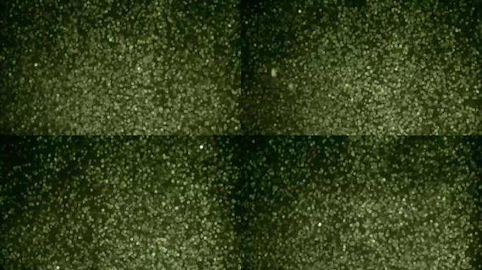抽象绿色背景粒子上升发光粒子动态颗粒