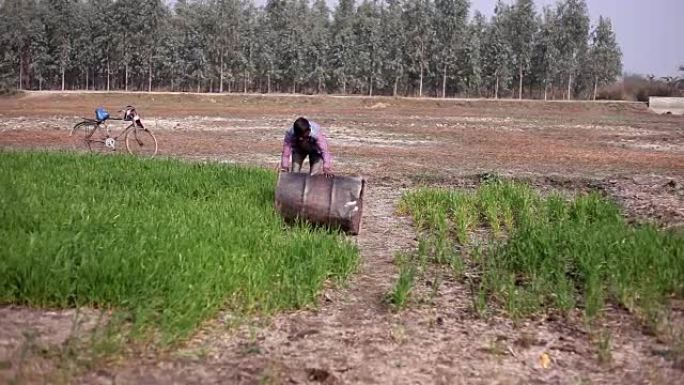 农民在田间工作传统农业收集废品废铁桶印度