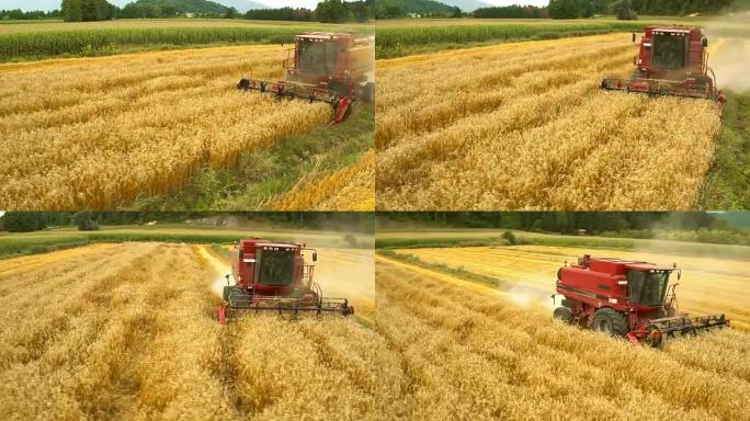 空中红联合收割成熟小麦