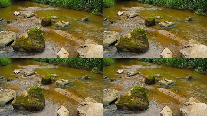 溪水在森林中流动污染水源