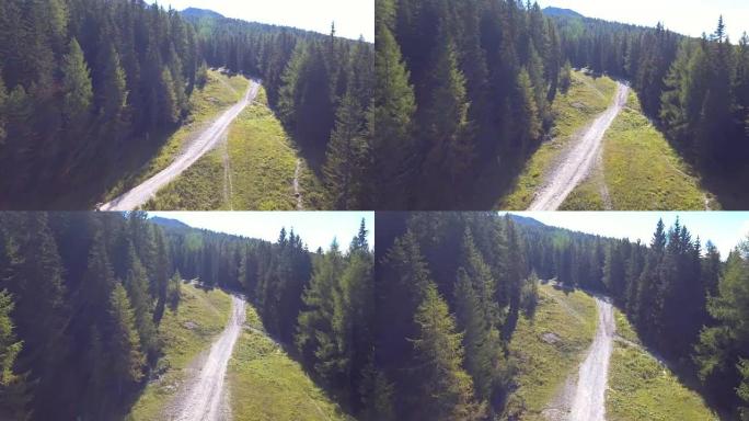 空中: 飞越松树林