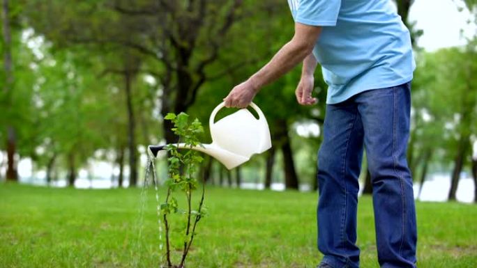 成熟男性浇灌绿色植物公园，负责生态志愿者，再造林