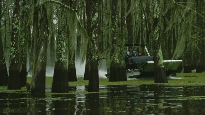 在阴暗的天空下，路易斯安那州南部Atchafalaya河流域沼泽中，一艘汽艇沼泽之旅在覆盖着西班牙苔