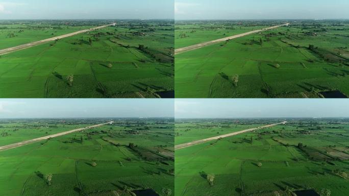 稻田景观，空中拍摄稻田。