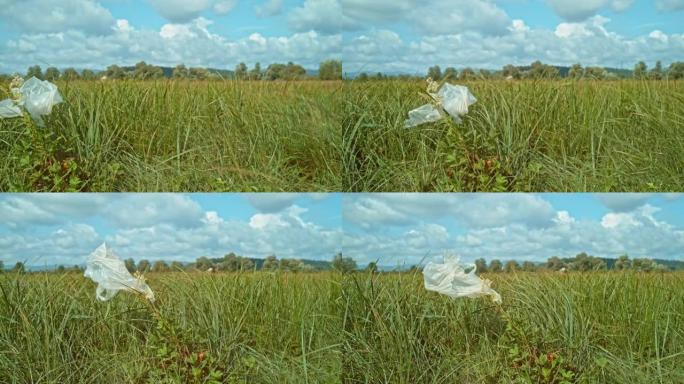 SLO MO透明塑料袋卡在草地上的草地上