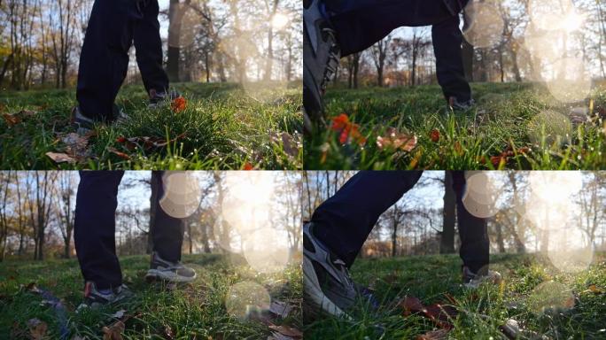 在树林里行走的鞋子的特写镜头。在公园里播撒秋叶。镜头光斑。以慢动作记录。