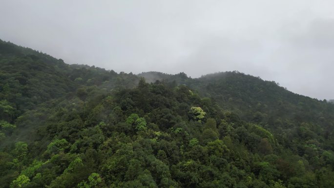 天然氧吧   云海遨游