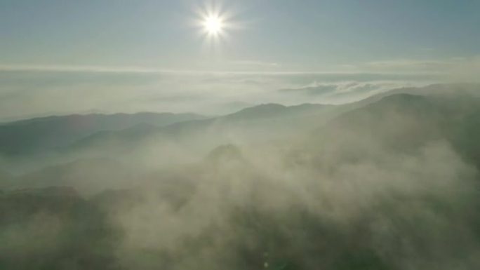 在山谷上方飞过雾的鸟瞰图