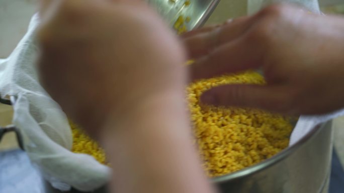 制作中国清明节的传统食物五色糯米饭的工序