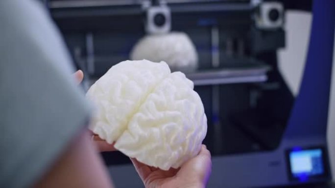 女性手握着并检查3D大脑模型，而3D打印机正在构建另一个