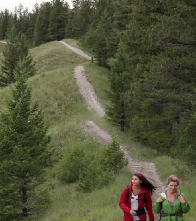 年轻女性沿着草地山顶的山路徒步旅行