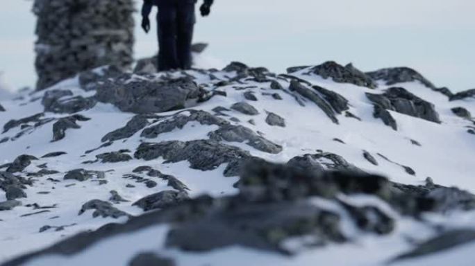 探索北极: 在冰上徒步旅行