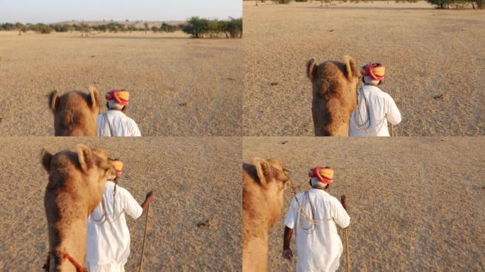 男子带领骆驼进入印度斋沙默尔的沙漠