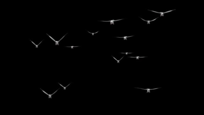 一只孤独的鸽子在蓝天上飞翔。白鸽飞入天空，自由的象征