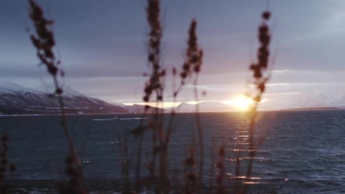 冬天特罗姆瑟海边的日落景色。积雪覆盖的山脉和杂草
