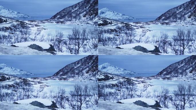 冬天特罗姆瑟海边的风景。积雪覆盖的山脉和杂草