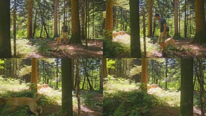 男人和他的狗跳过森林中的一条小溪