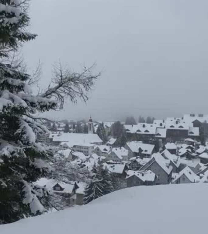 山上积雪覆盖的城镇的景色