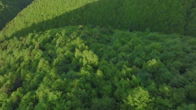 空中无人机可以看到郁郁葱葱的绿色森林，无尽的连绵起伏的山脉