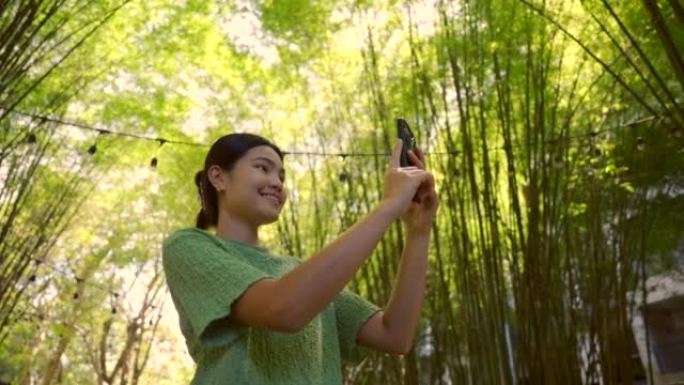 拍摄竹林照片的女人在美丽的地方旅行，竹园，竹林。